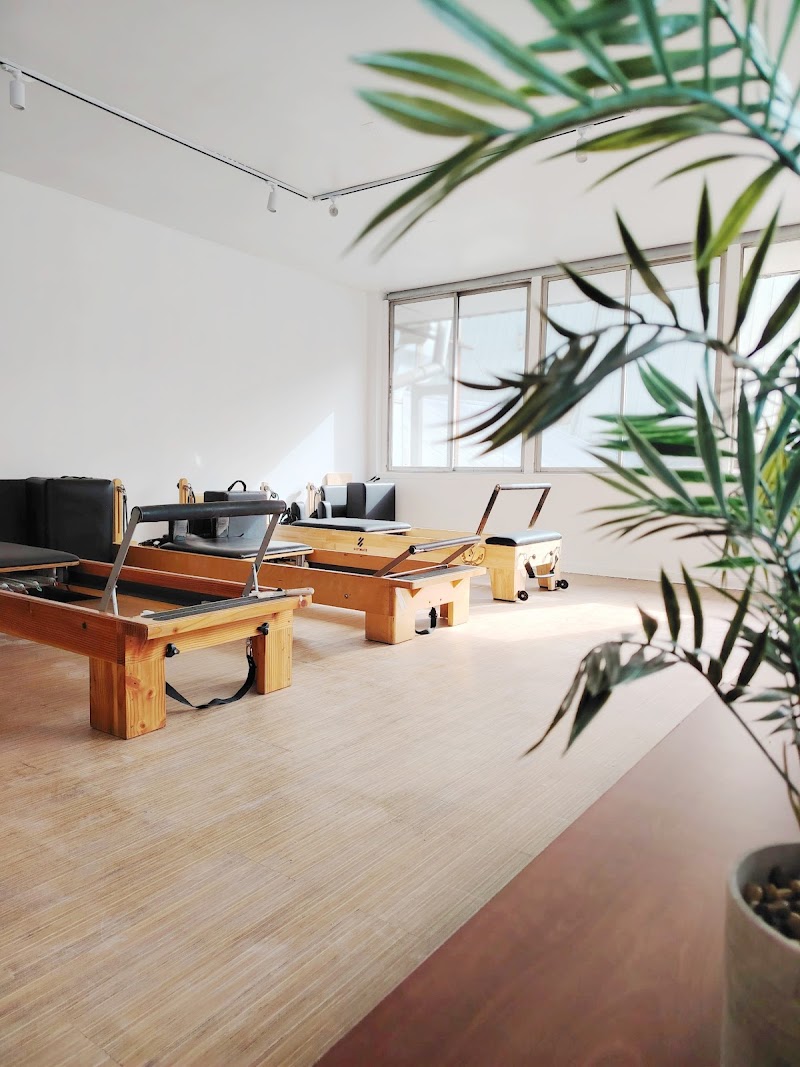 Oranga Studio - Kinesiología y Pilates Concepción